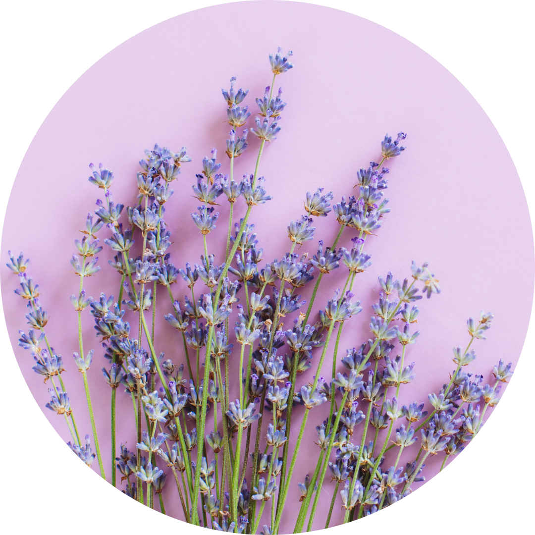 Lavender Blossom – Nectar Life Lavender Blossom – Nectar Life