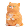 Large Kitty Soap - 23 oz Ginger