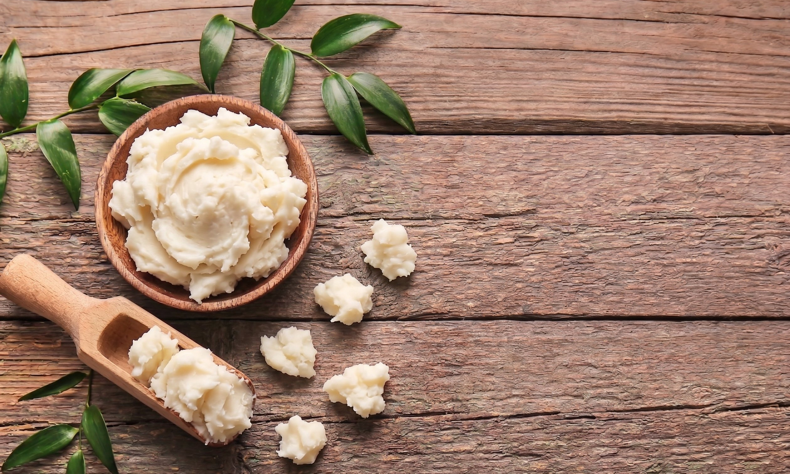 Whipped shea butter in a wooden bowl and scoop, surrounded by green leaves on a wood background