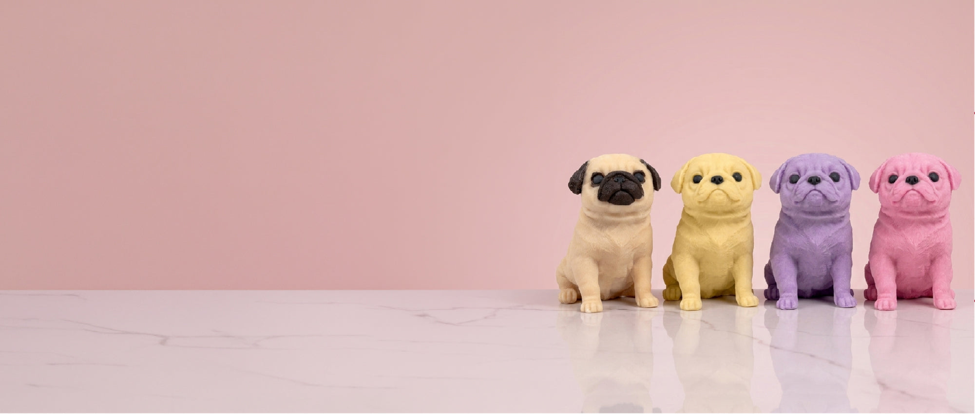 Pet Collection
