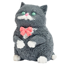 Kitty Soap - 23 oz