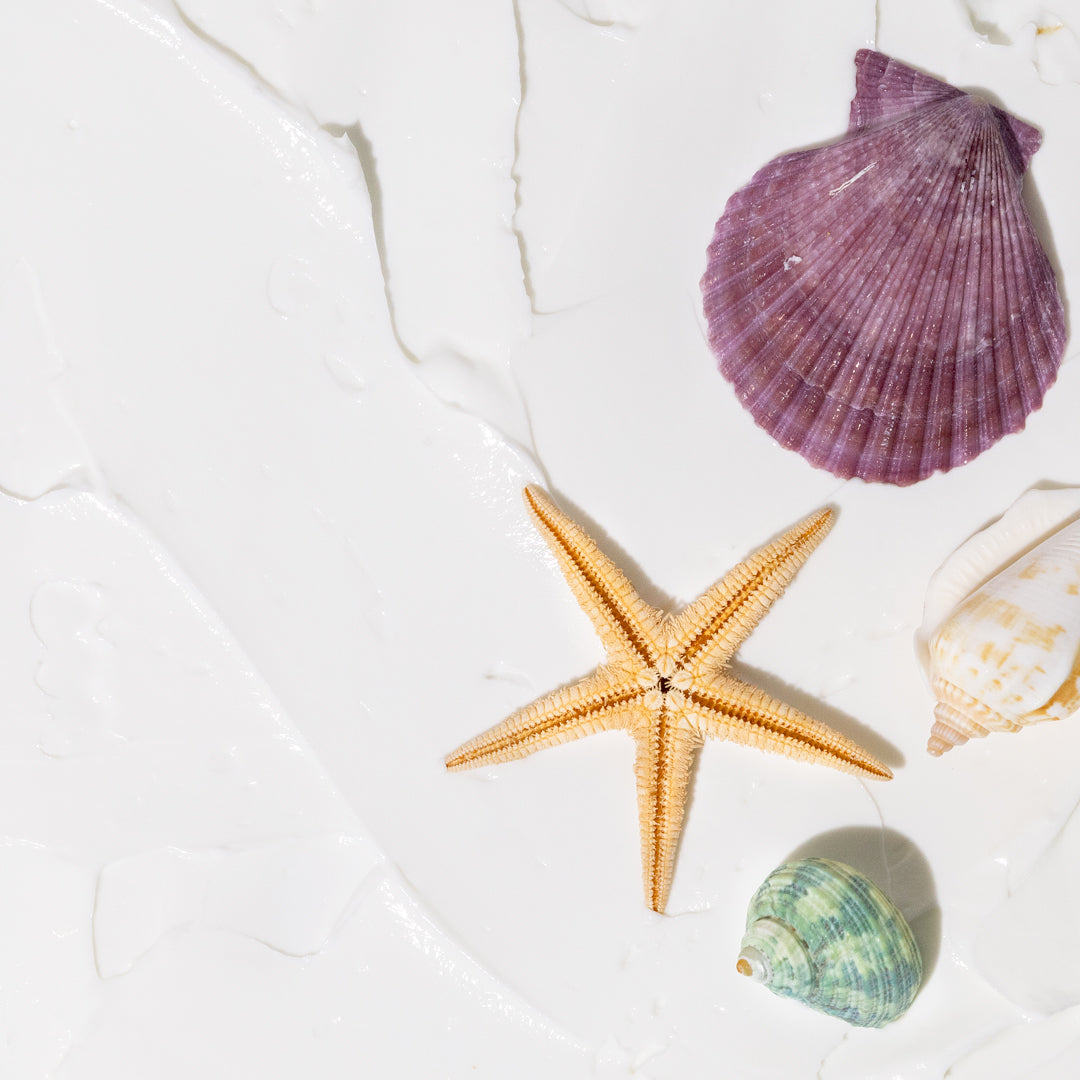 Nectar Life Jumbo Shea Body Butter in Ocean Breeze, thick creamy white body butter spread across a styled background with a purple scallop shell, beige starfish, green spiral shell, and cream conch shell, made with shea butter, 16 oz, vegan and plant based, handmade in Las Vegas
