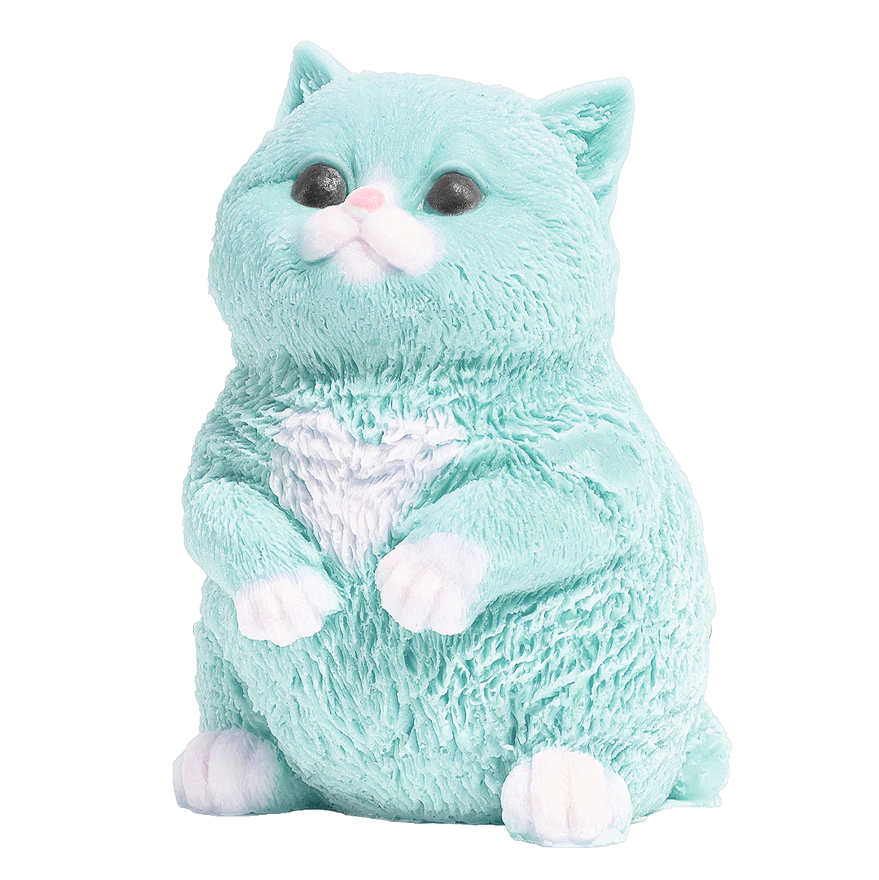NL_Kitty_Large_Teal.png