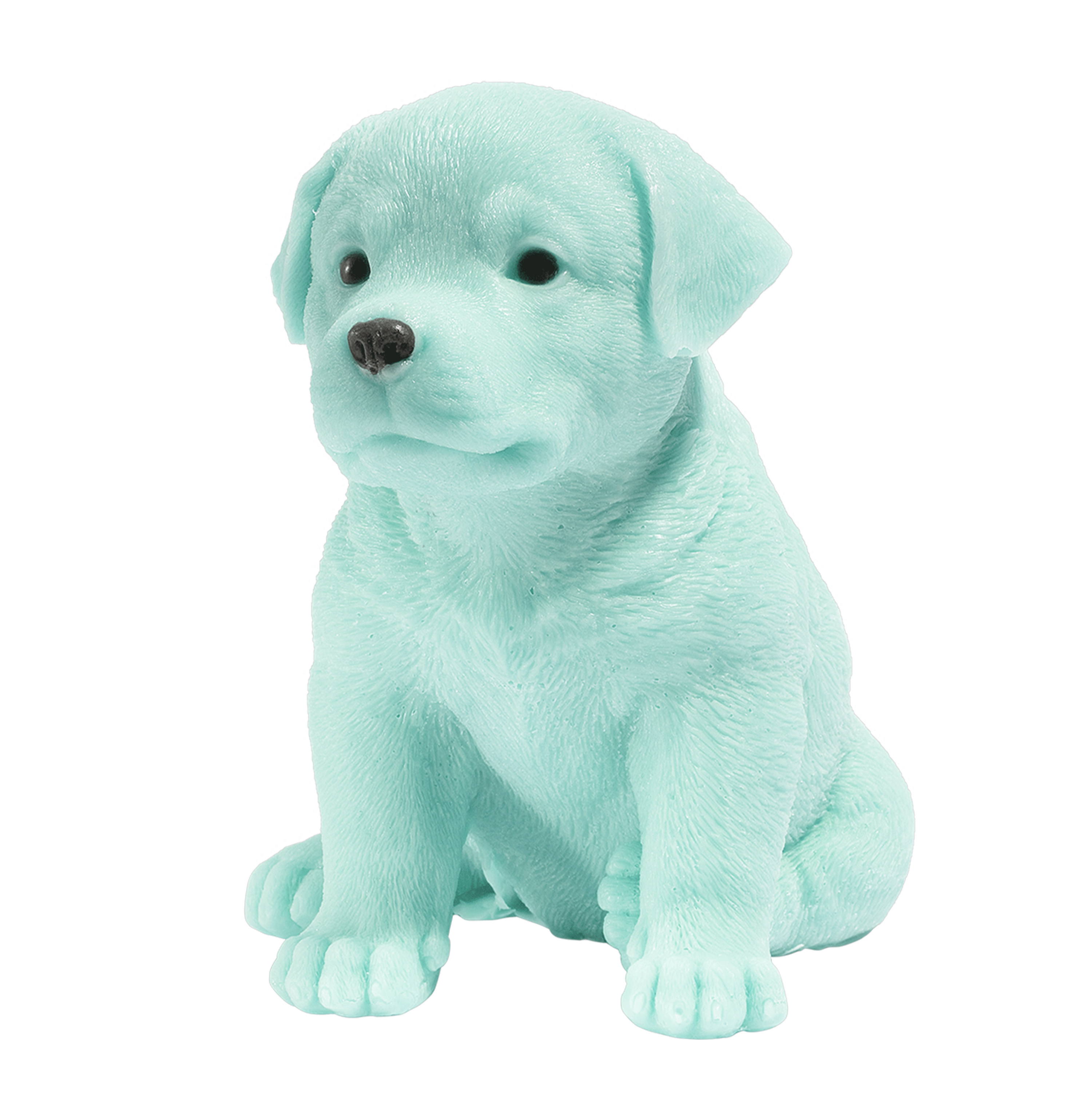 NL_Labrador_Large_Teal.png