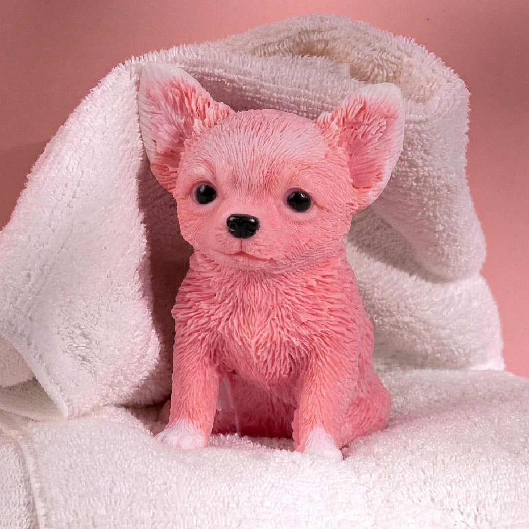 NL_Soap_Chihuahua_Large_Group.jpg