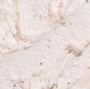 Close up texture shot of Nectar Life Vanilla Sugar Whipped Soap showing creamy white consistency with flecks of vanilla