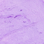 Close up texture shot of Nectar Life Lavender Blossom Whipped Soap showing soft purple shimmer and creamy consistency